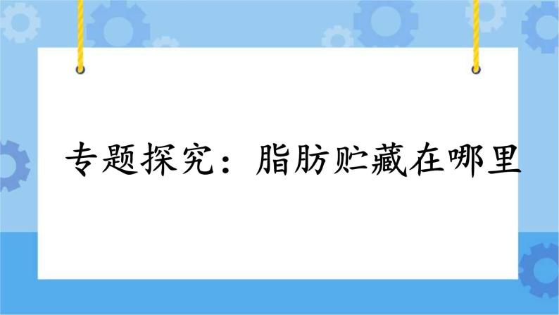 3.17《专题探究：脂肪贮藏在哪里》课件+教案+练习01