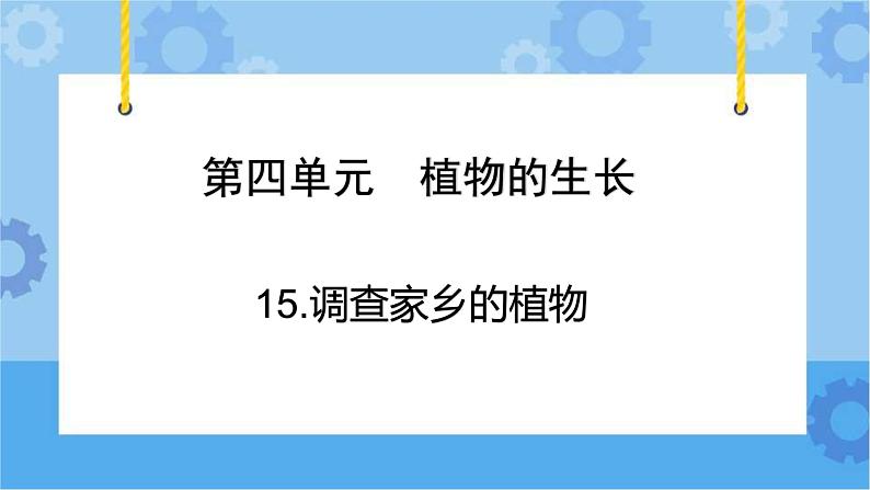 青岛版(六三制2017秋)四年级下册4.15.调查家乡植物 课件02