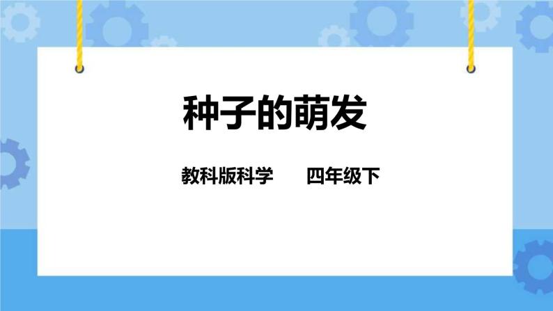 2.5种子的萌发  课件+教案01