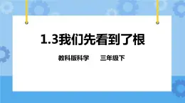 1.3 我们先看到了根 课件