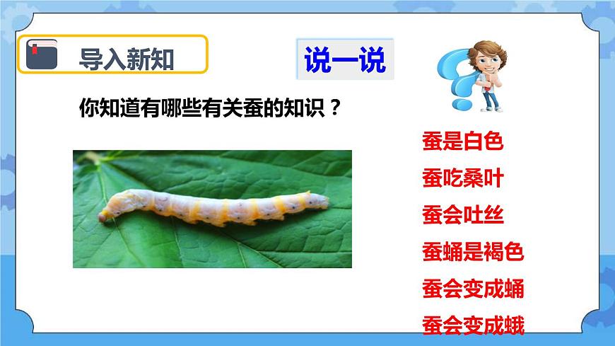 2.1 蠶卵里孵出的新生命 課件第5頁