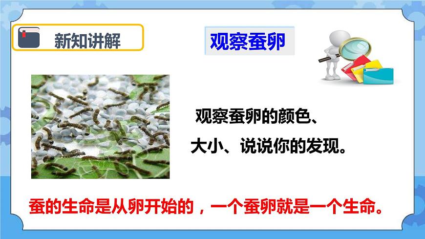2.1 蠶卵里孵出的新生命 課件第6頁