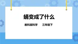 2.4 蛹变成了什么 课件