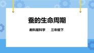 小学科学教科版三年级下册5.蚕的生命周期优秀ppt课件