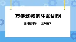 2.6 其他动物的生命周期 课件