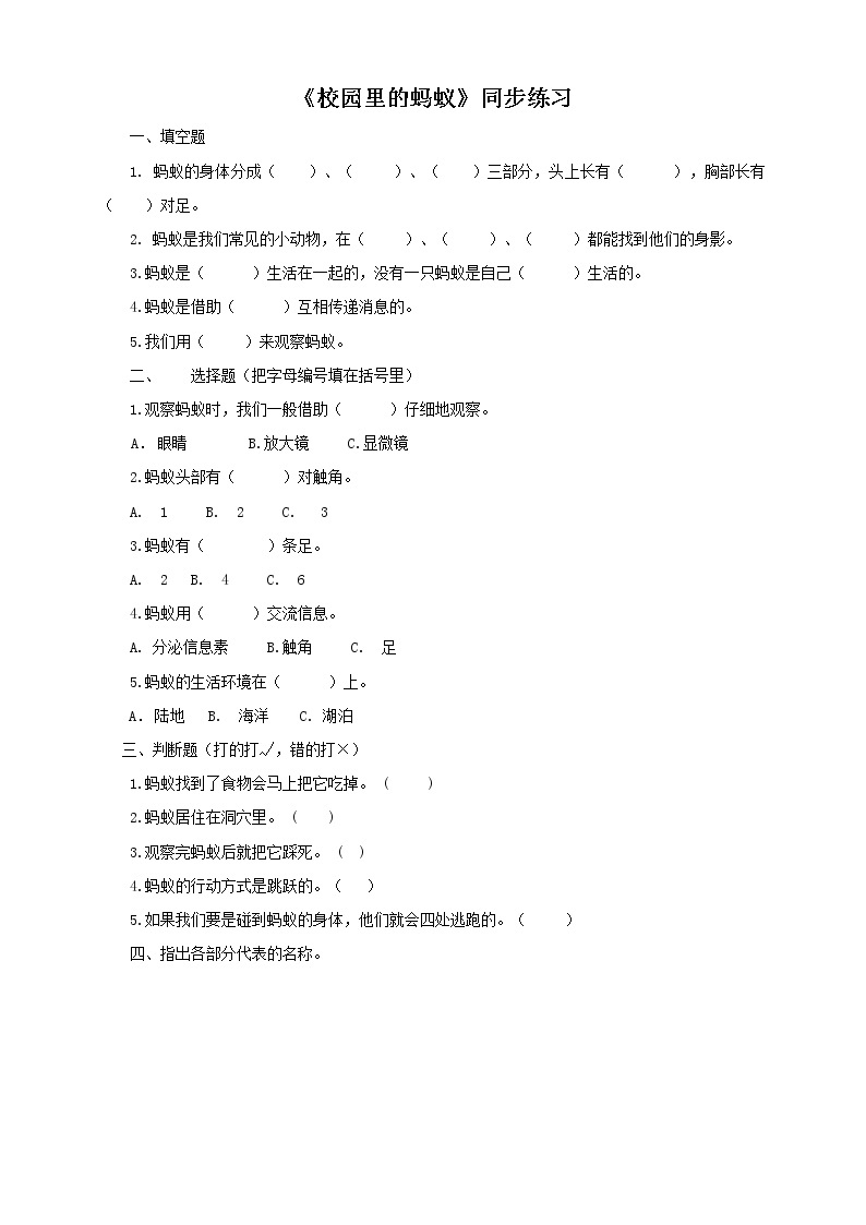 1.2 《校园里的蚂蚁》课件+教案+练习+素材01