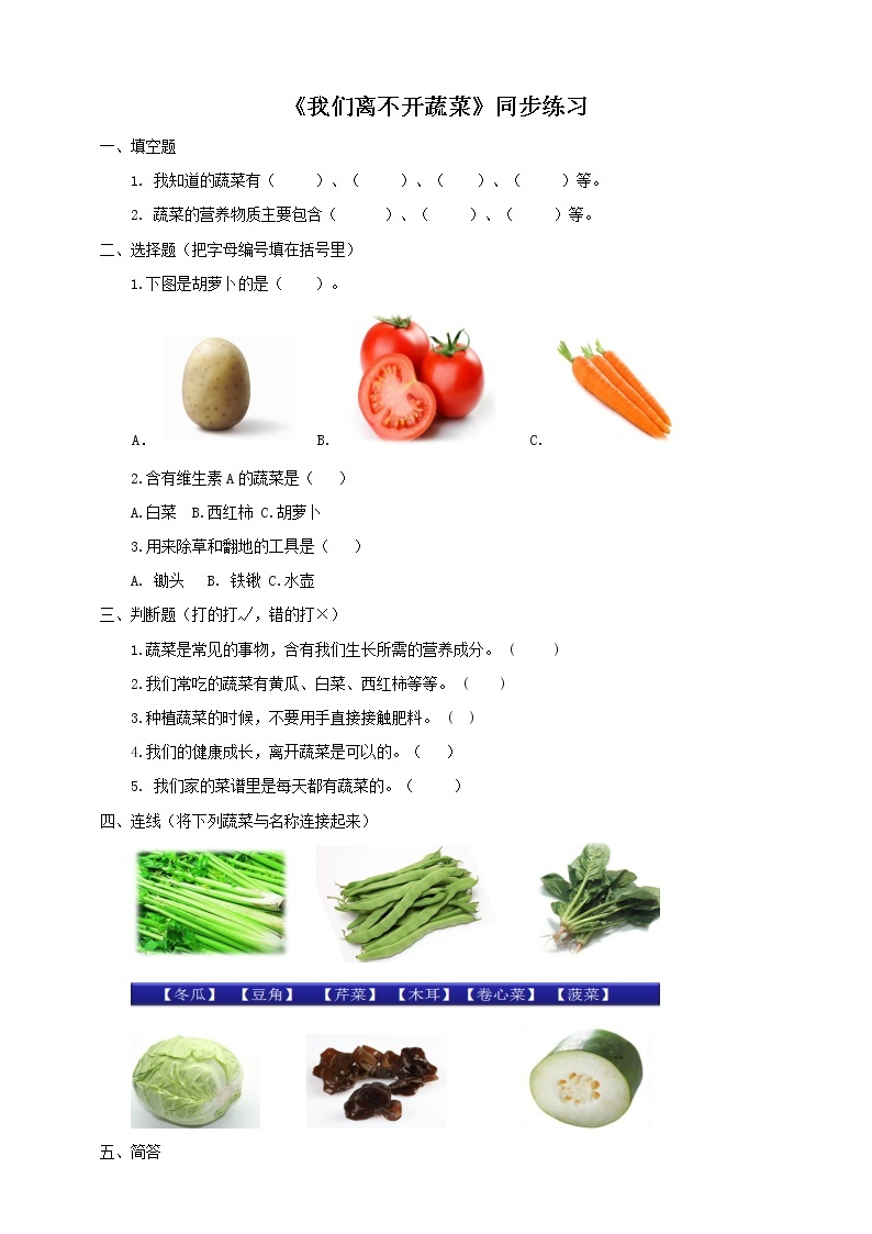 2.5《我们离不开蔬菜》课件+教案+练习01