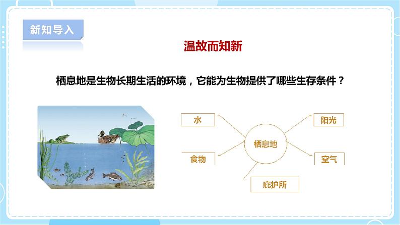 【人教鄂教版】六下科学 1.3《保护生物与环境》课件+教案+同步练习03