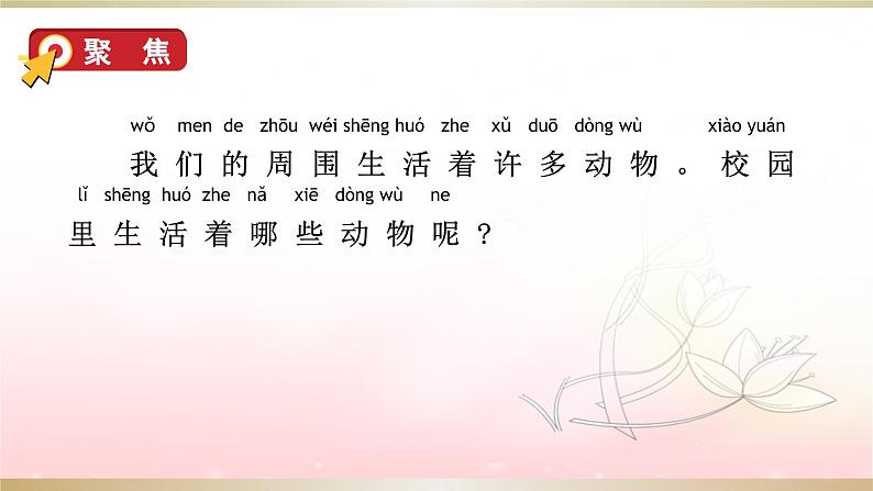 教科版科学一年级下册 2.2校园里的动物 课件第5页
