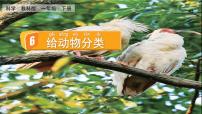 教科版 (2017)一年級下冊6.給動物分類優(yōu)秀ppt課件
