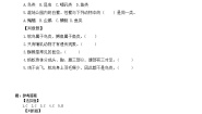 小学科学教科版 (2017)六年级下册4.多种多样的动物练习题