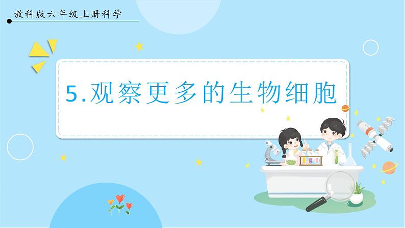 【教科版】六上科学 1.5 《观察更多的生物细胞》(课件+素材)01