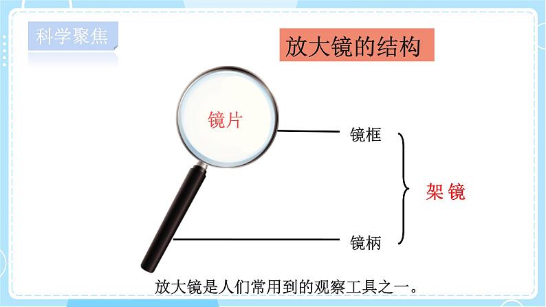 六年级上册科学1《放大镜》教学课件第3页