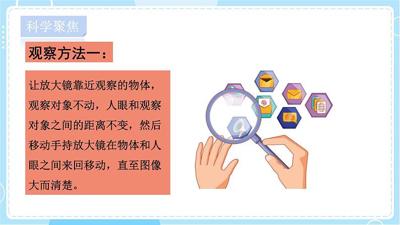 六年级上册科学1《放大镜》教学课件第6页