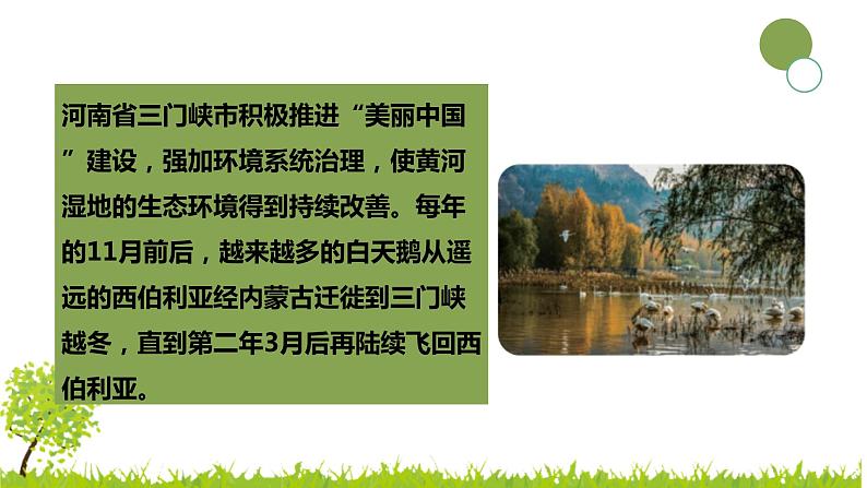大象版科学(2017)六年级下册1-3《环境变化与动物行为》 课件02