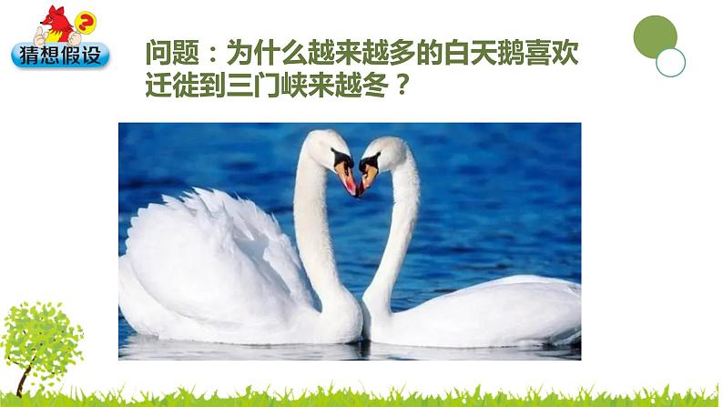 大象版科学(2017)六年级下册1-3《环境变化与动物行为》 课件03