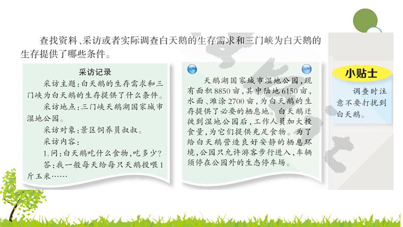 大象版科学(2017)六年级下册1-3《环境变化与动物行为》 课件05