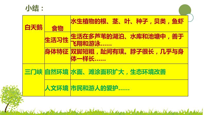 大象版科学(2017)六年级下册1-3《环境变化与动物行为》 课件07