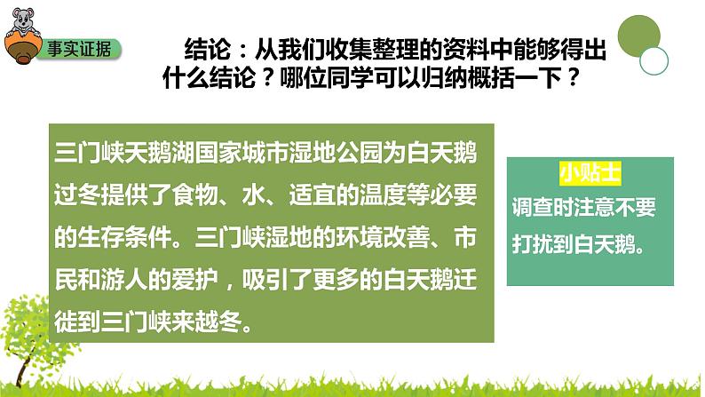 大象版科学(2017)六年级下册1-3《环境变化与动物行为》 课件08