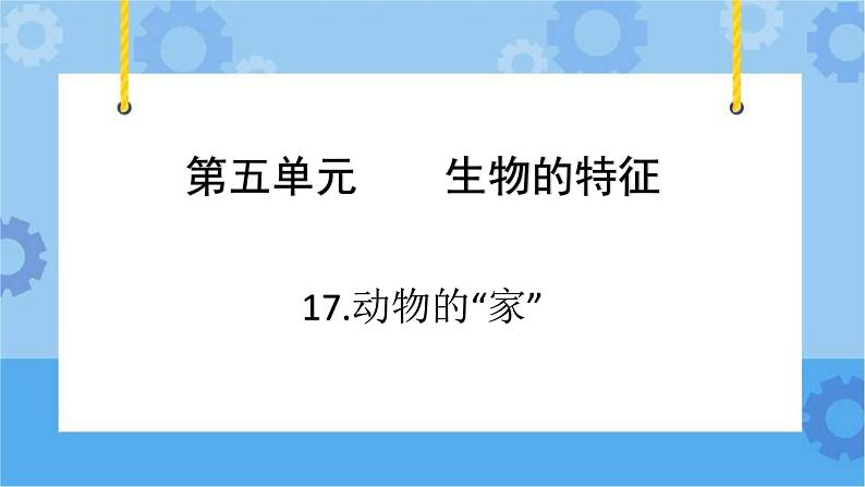 青岛版(六三制2017秋)四年级下册5.17.动物的“家” 课件第3页
