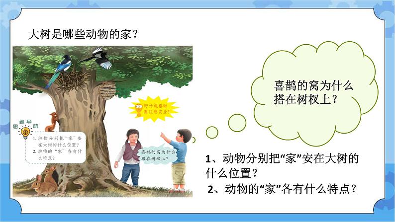 青岛版(六三制2017秋)四年级下册5.17.动物的“家” 课件第4页