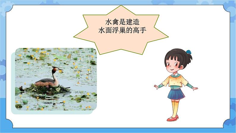 青岛版(六三制2017秋)四年级下册5.17.动物的“家” 课件第6页