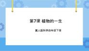 冀人版 (2017)四年级下册7 植物的一生评优课备课课件ppt