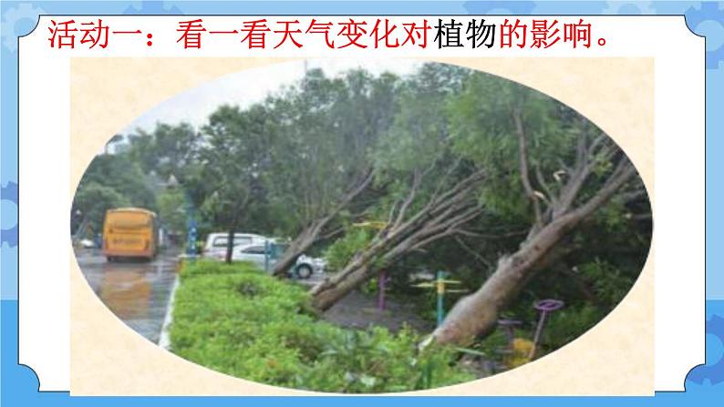10 天气与动植物(课件)一年级下册科学冀人版04