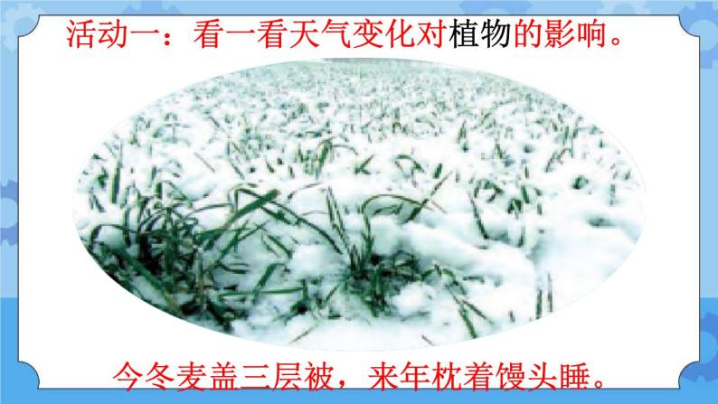 10 天气与动植物（课件）一年级下册科学冀人版06