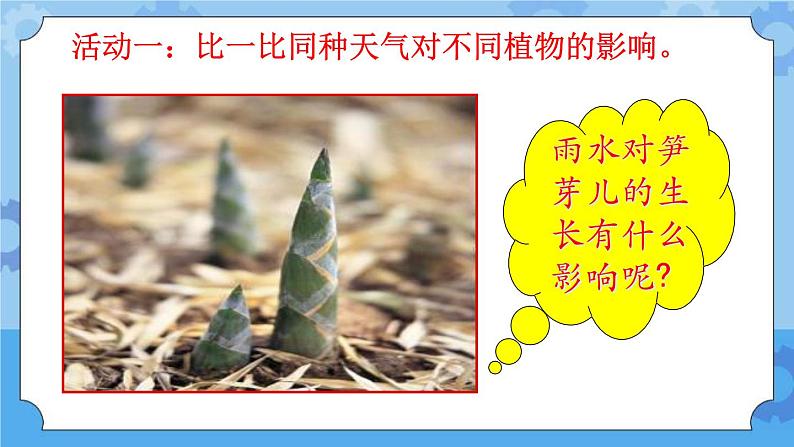 10 天气与动植物(课件)一年级下册科学冀人版08