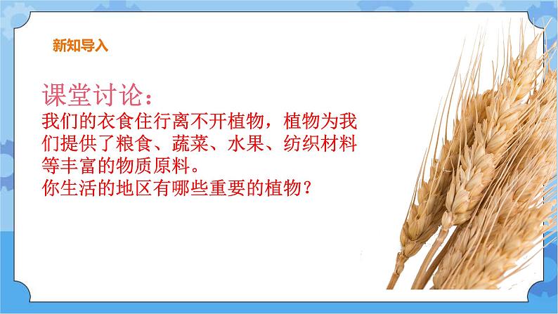 三年级下册科学课件 3.植物与我们的生活 冀人版第2页