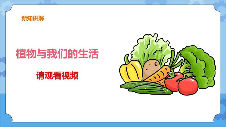 三年级下册科学课件 3.植物与我们的生活 冀人版第3页
