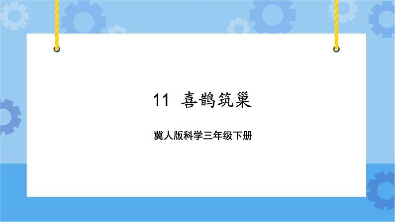 三年级科学下册课件 11.喜鹊筑巢 冀人版第1页