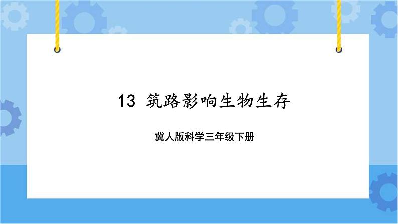 三年级下册科学课件 13.筑路影响生物生存 冀人版第1页