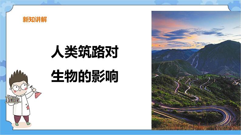 三年级下册科学课件 13.筑路影响生物生存 冀人版第4页