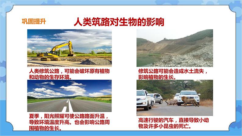 三年级下册科学课件 13.筑路影响生物生存 冀人版第8页