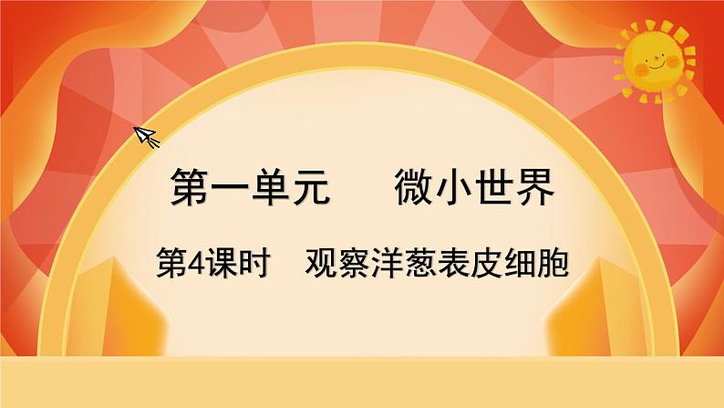 第4课时 观察洋葱表皮细胞第1页