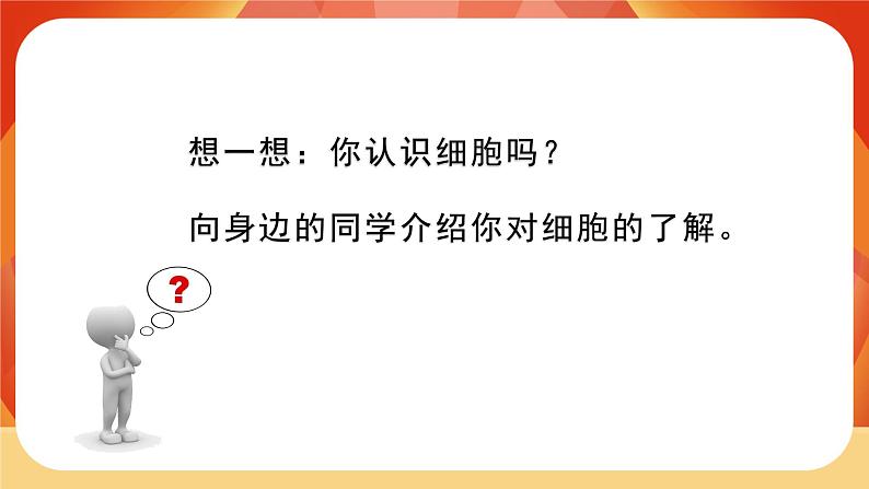 第4课时 观察洋葱表皮细胞第2页