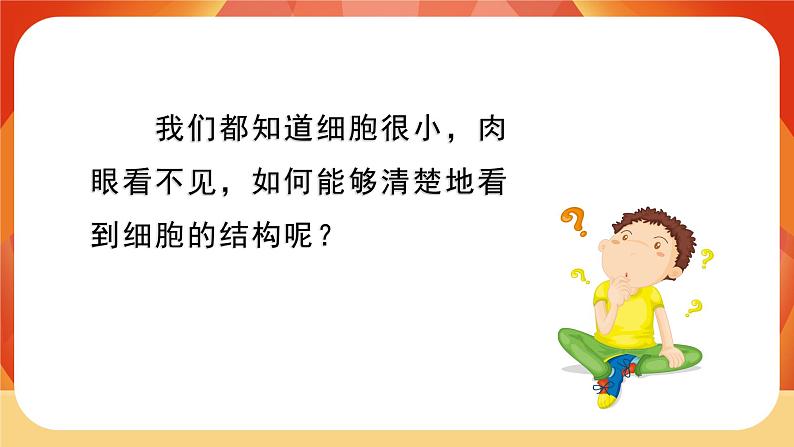 第4课时 观察洋葱表皮细胞第3页