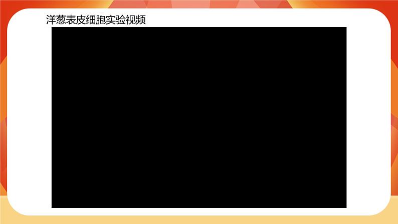 第4课时 观察洋葱表皮细胞第4页
