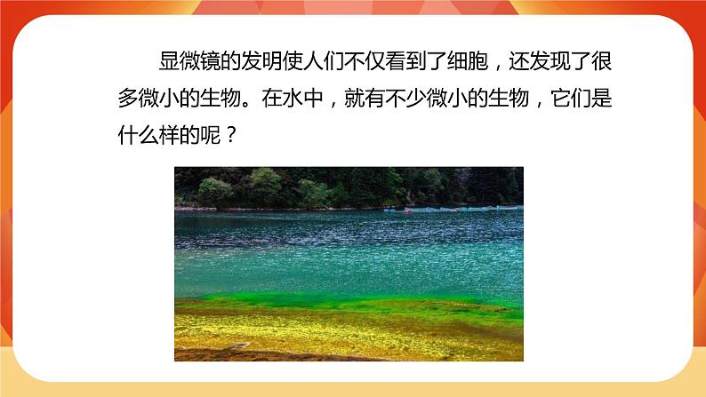 第6课时 观察水中微小的生物第3页