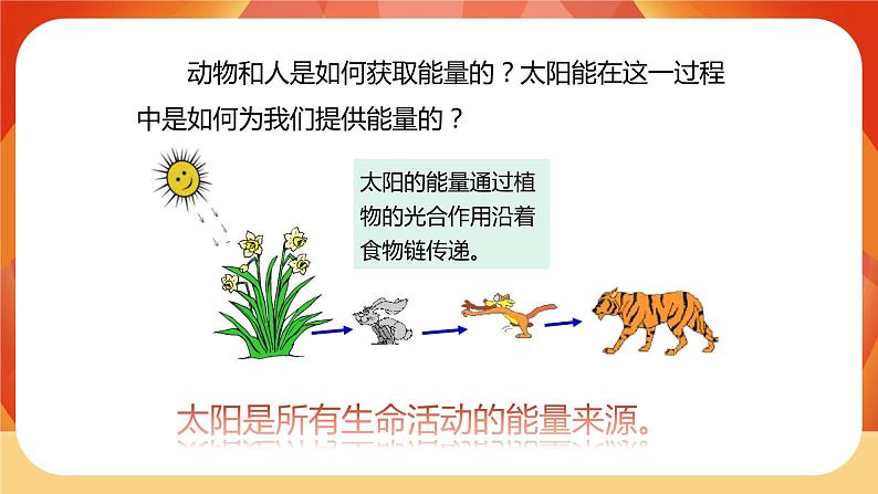 第7课时 能量从哪里来第5页