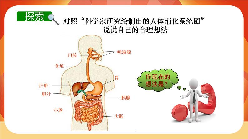 第二单元 呼吸与消化 第8课时 食物在身体里的旅行 课件第5页