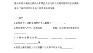 小学科学人教鄂教版 (2017)三年级下册1 土壤里有什么练习题