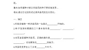 小学科学人教鄂教版 (2017)三年级下册4 播种发芽学案