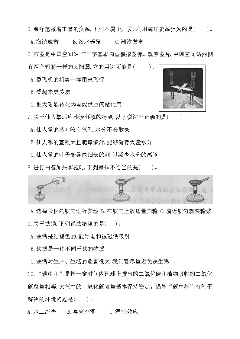 新大象版科学六年级下册期中测试卷（含答案）02