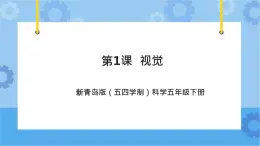 新青島版（五四學(xué)制）科學(xué)五年級(jí)下冊(cè)課件（含素材）第1課 視覺(jué).1