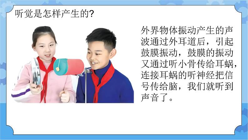 新青岛版(五四学制)科学五年级下册课件(含素材)第3课 听觉05