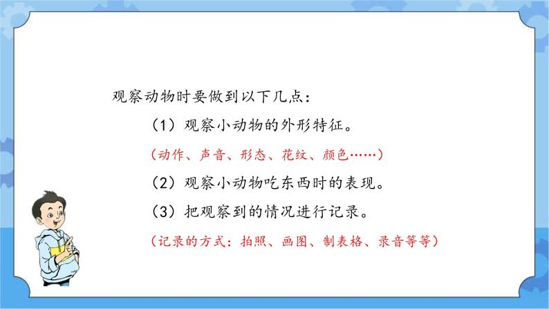 一年级下册科学课件- 第三单元 形形色色的动物 复习课件 湘科版（2017）06