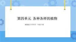 一年级下册科学课件- 第四单元  各种各样的植物 复习课件  湘科版（2017）